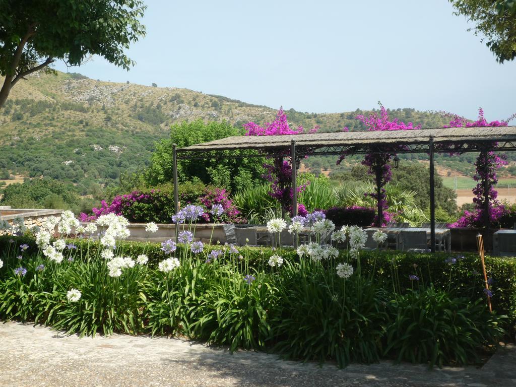 Bauernhof Son Siurana Alcúdia