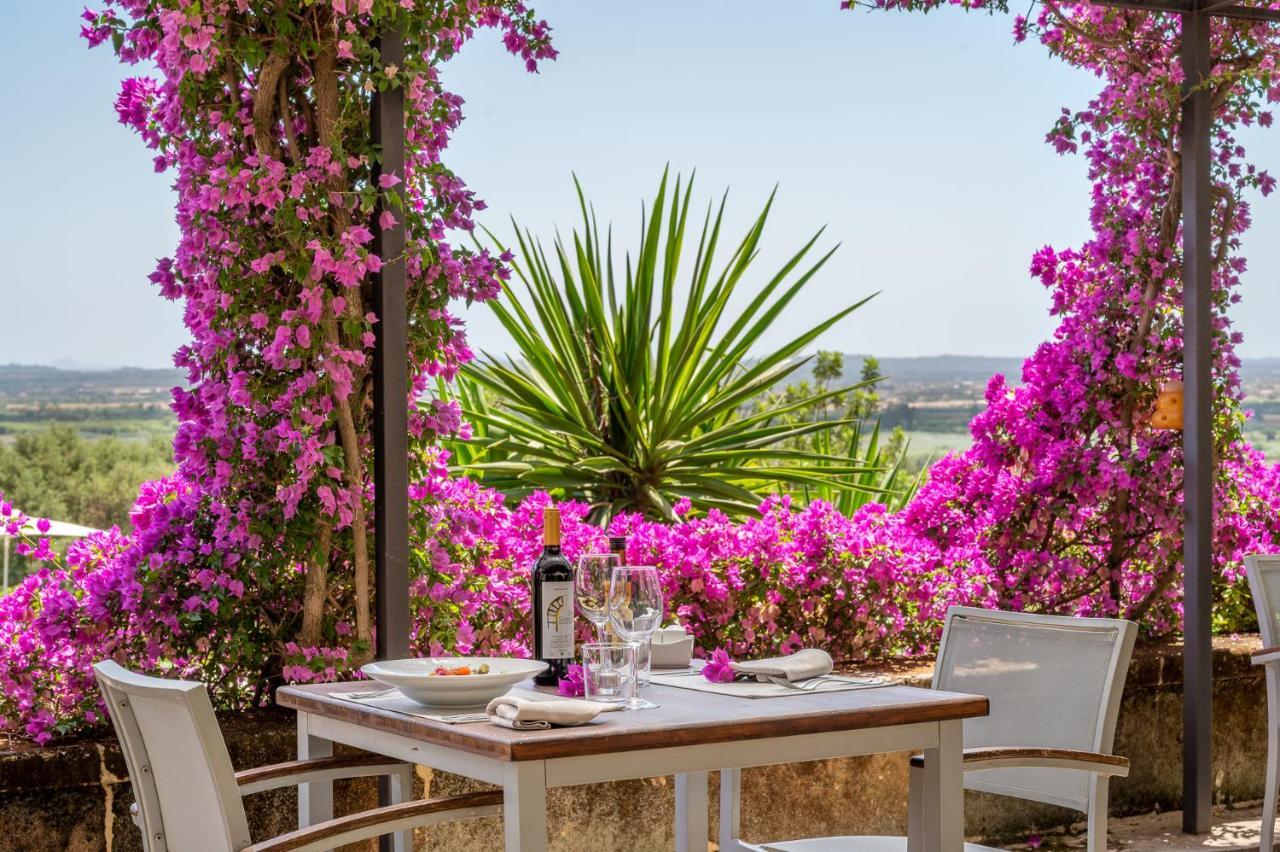 Farm stay Son Siurana *